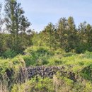 서광리-25 이미지