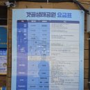 갯골생태공원(인포센터) | 경기도 가볼만한곳 시흥 갯골생태공원