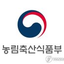 무릉도원면-14 강원일보