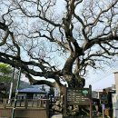 견내량항 이미지