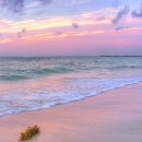 요가MOON 이미지