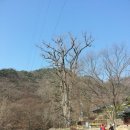 풍요로운 기다림 이미지