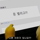 스타트업 준비물