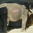 마이 캔버스 스토리 이미지