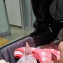 위험한 고비에서 힘겹게 버티고 있는 강이 이미지