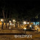 맹방비치캠핑장 이미지