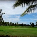 스타골프클럽 이미지