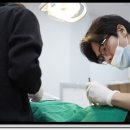 부원뉴욕치과병원 이미지