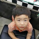 컷트하다