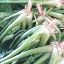 빨간산농장 이미지