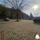 치명자산대여소 이미지