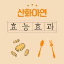 비에스씨 | 산화아연 효능 집중 분석 - 피부와 건강을 지키는 숨은 파워 성분