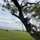 주정차72 이미지