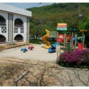 숲속연세유치원 이미지