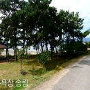 장선포1 이미지