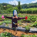 도영 농장 이미지