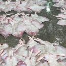 덕성호수산 이미지