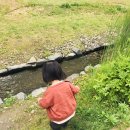 난지천4(놀이터) 이미지