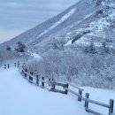 설악산 티스토리