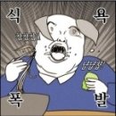 엘세르도 네이버블로그