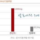 플라브 이미지