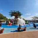 감문국이야기 이미지