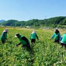 뽑기남녀 이미지