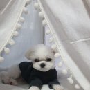 복음간병인협회