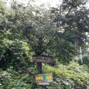 마이산뜰아래 이미지