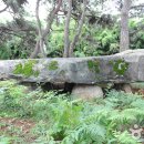 용월리지석묘군 이미지