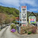 왕소나무민박 이미지