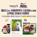 몰리스