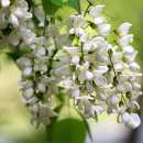 산이랑별이랑민박 이미지