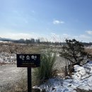 부여 카페 '담소헌' 방문 후기