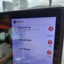 레츠펍피맥당