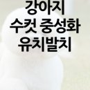 동물병원예지 이미지
