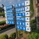 두루두루화원