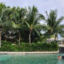 가온이네 이미지