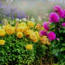 하나정보 이미지