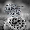 너와의 산책 이미지