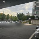 알파치과의원 이미지