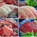 하나참치 이미지