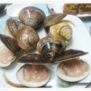 백합 이미지