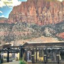 자이언(ZION) 이미지