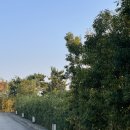 무이림5 | 국내태교여행 태안 무이림 9번 예약, 가격, 자쿠지