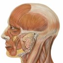 경희길동한의원 이미지
