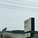 ONE PICK | 대천IC 근처 보령 브런치 맛집 빵빵빵하우스 트러플머쉬룸치아바타 솔직후기