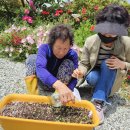 해남종합사회복지관 이미지