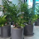 만경보건지소 이미지