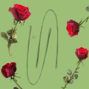 해피디자인 - 유성구 계룡로 22 | 해피디자인